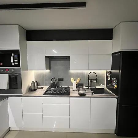 Apartament Na Wspolnej Sosnowiec